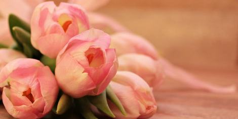 Comercio — Floristería Capricho