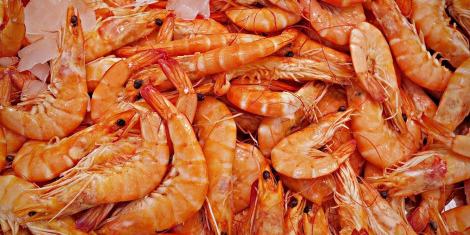 Comercio — Pescados y Mariscos Mario