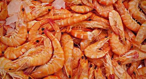 Pescados y Mariscos Mario